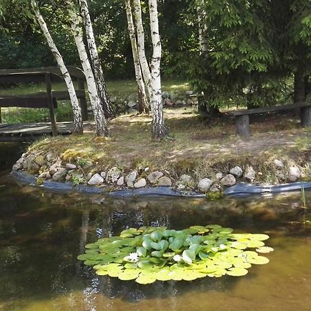 Siedlisko Gruszki Puszcza Bialowieska Narewka Exterior photo