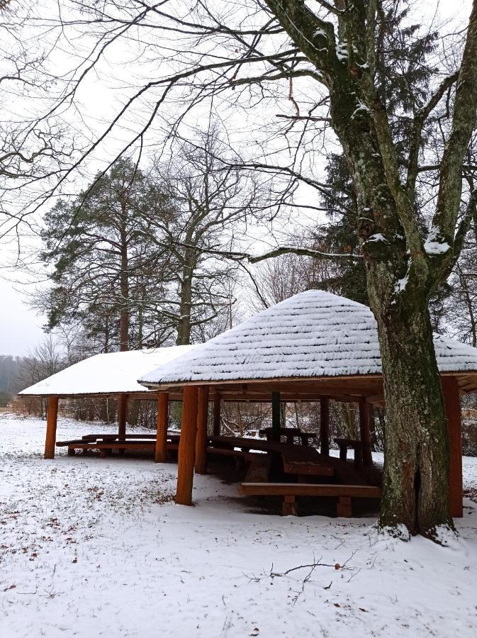 Siedlisko Gruszki Puszcza Bialowieska Narewka Exterior photo