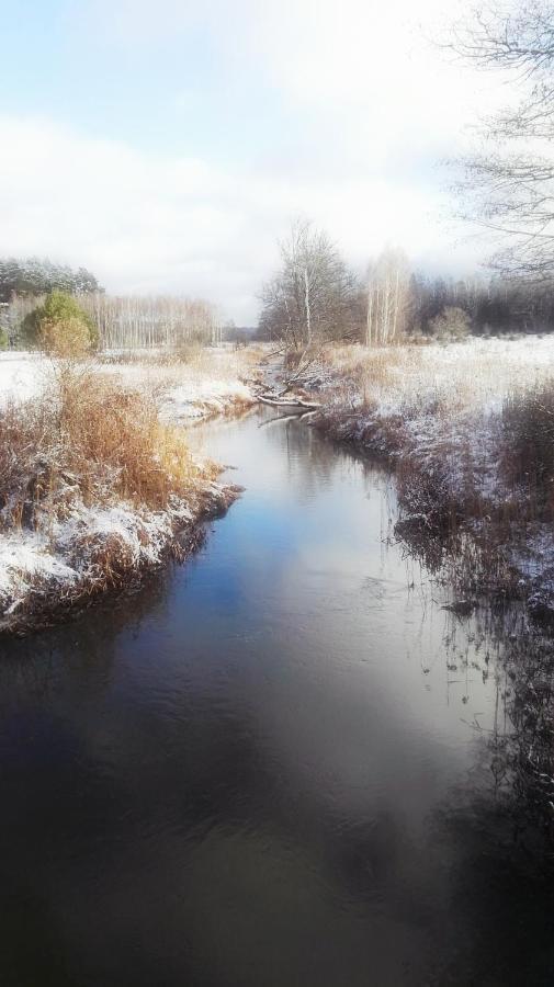 Siedlisko Gruszki Puszcza Bialowieska Narewka Exterior photo