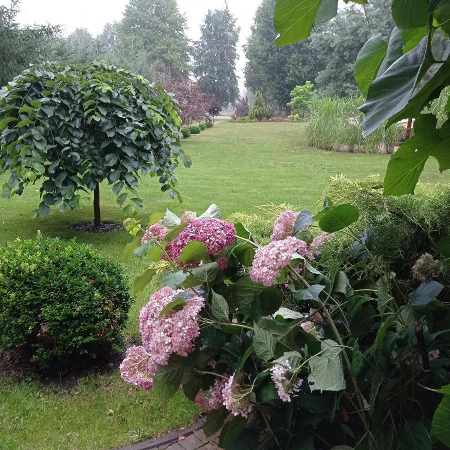 Siedlisko Gruszki Puszcza Bialowieska Narewka Exterior photo