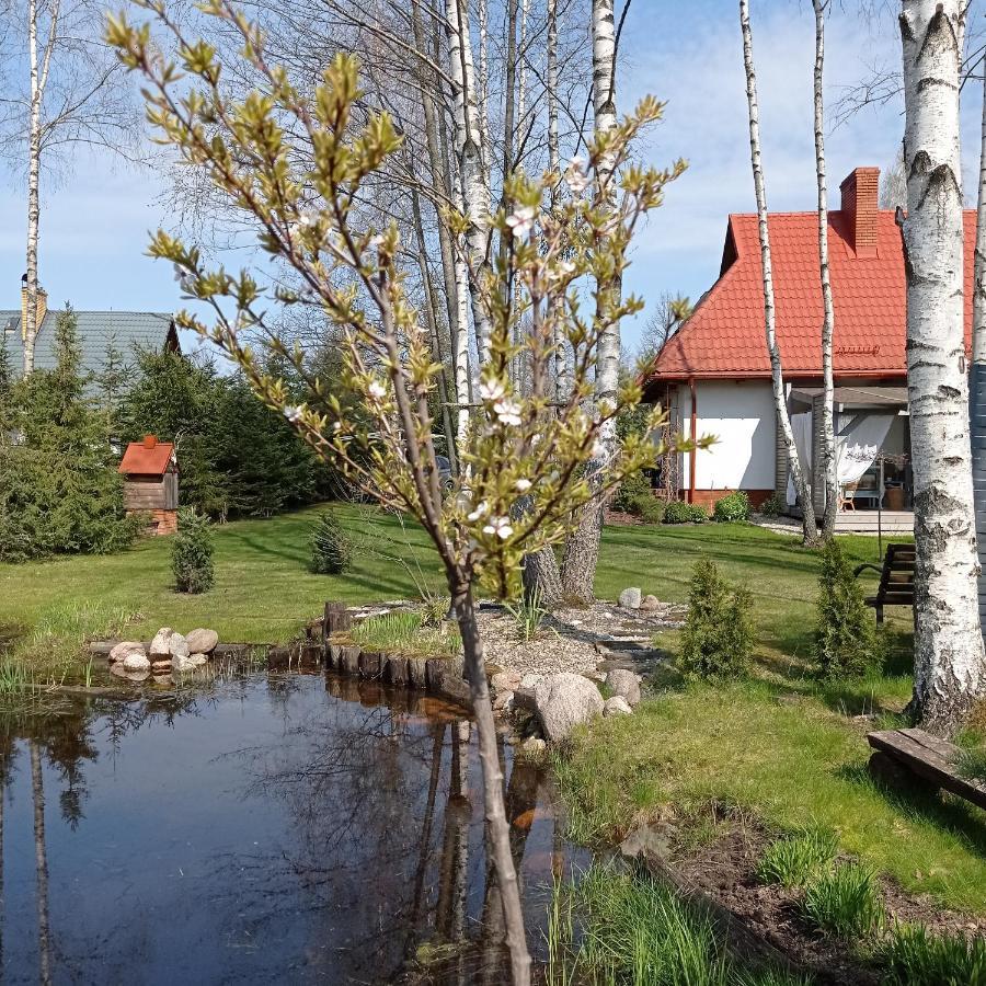 Siedlisko Gruszki Puszcza Bialowieska Narewka Exterior photo